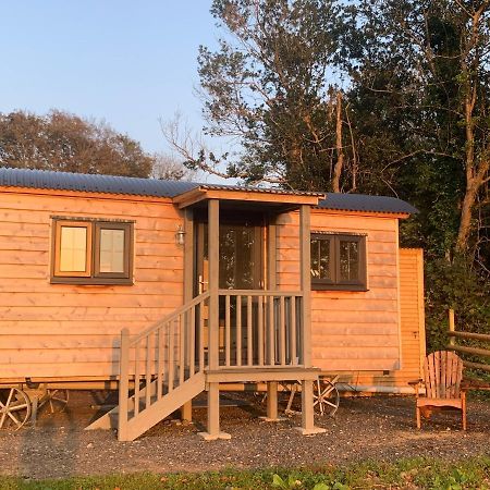 Lle Mary - Beautiful Views, Hot Tub, Secluded, Dog Welcome, Barmouth Llanddwywe Exterior foto